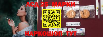 шишки Новокубанск