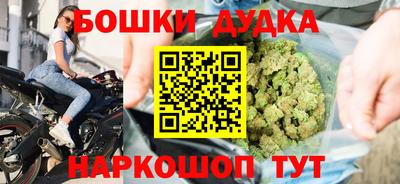 шишки Новокубанск