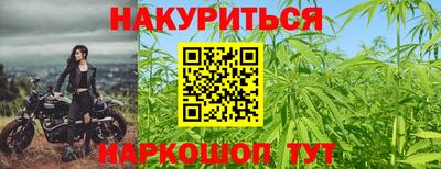 шишки Новокубанск