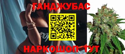 шишки Новокубанск