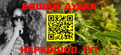 шишки Новокубанск