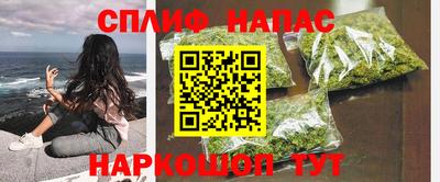 шишки Новокубанск